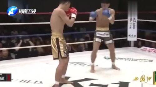 崇阳最新爆料新闻视频播放,视频揭秘惊人内幕，真相令人震惊！